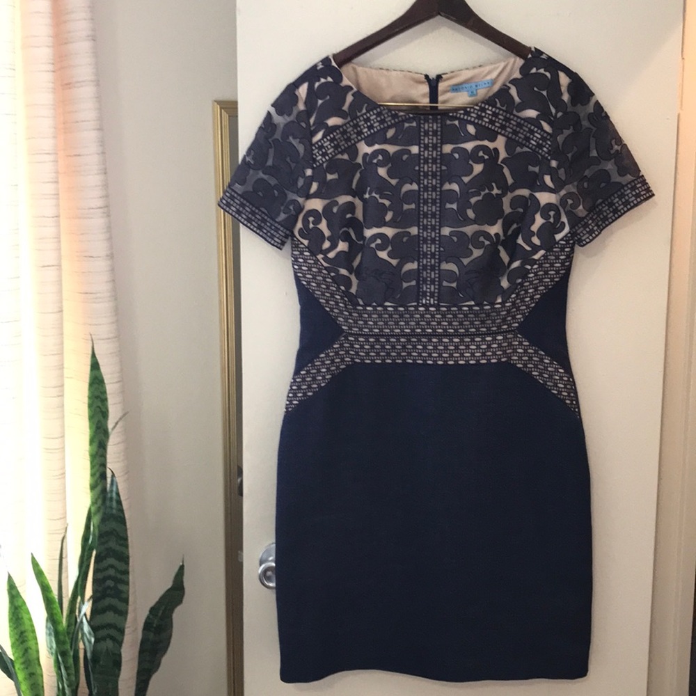 Antonio Melani Navy Dress with Stunning Detailing